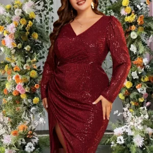 Long Sleeve Fully Lined Women's Fishtail Maxi Dress with Embroidered Mesh Back Zipper for Evening Wedding Party