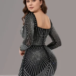 Long Sleeve Fully Lined Women's Fishtail Maxi Dress with Embroidered Mesh Back Zipper for Evening Wedding Party