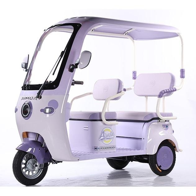 Electric Cargo Trike Canopy 1000W Motor Power 1000W Motor Power 400kg Payload Capacity Steel Material 60v Passenger Trike
