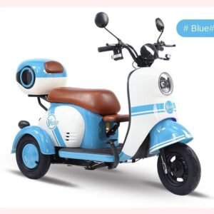 Electric Cargo Trike Canopy 1000W Motor Power 1000W Motor Power 400kg Payload Capacity Steel Material 60v Passenger Trike