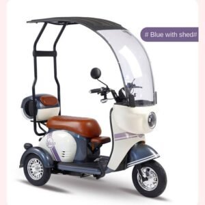 Electric Cargo Trike Canopy 1000W Motor Power 1000W Motor Power 400kg Payload Capacity Steel Material 60v Passenger Trike