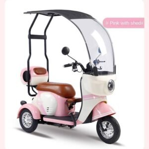 Electric Cargo Trike Canopy 1000W Motor Power 1000W Motor Power 400kg Payload Capacity Steel Material 60v Passenger Trike