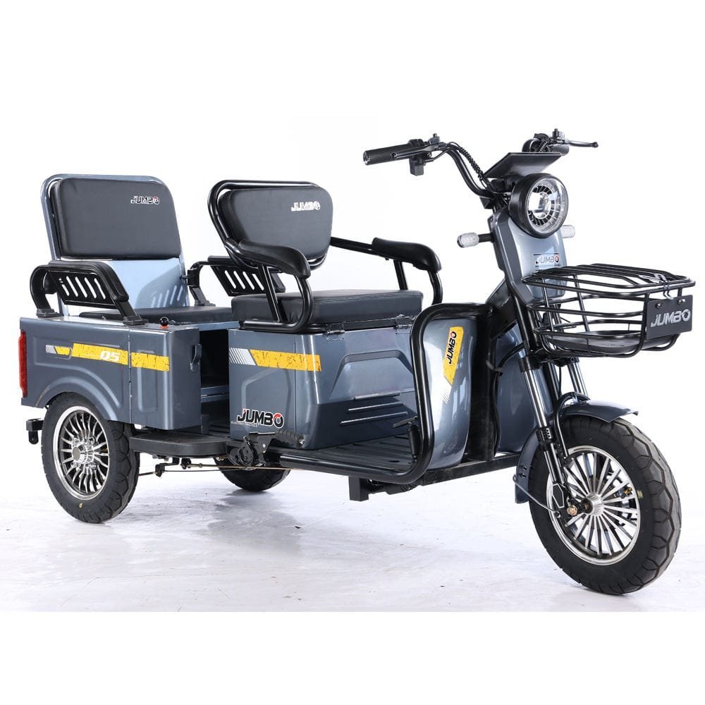 Electric Cargo Trike Canopy 1000W Motor Power 1000W Motor Power 400kg Payload Capacity Steel Material 60v Passenger Trike