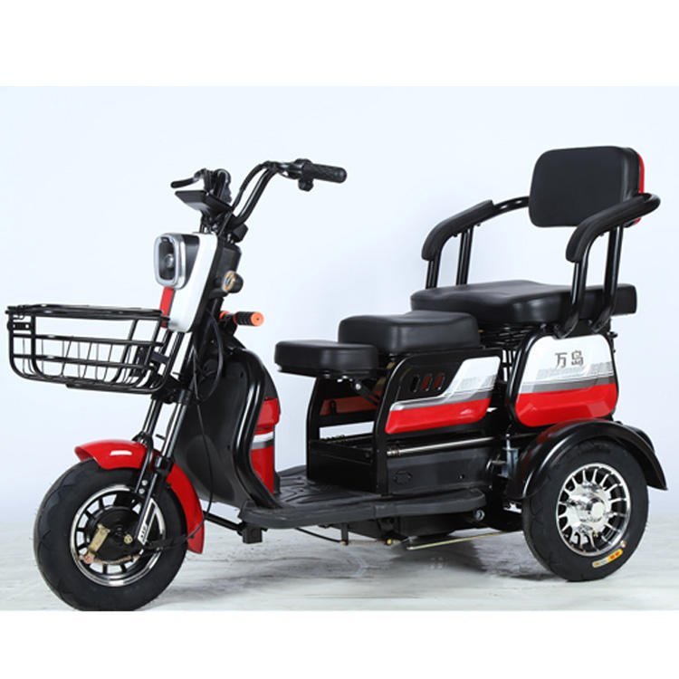 Electric Cargo Trike Canopy 1000W Motor Power 1000W Motor Power 400kg Payload Capacity Steel Material 60v Passenger Trike