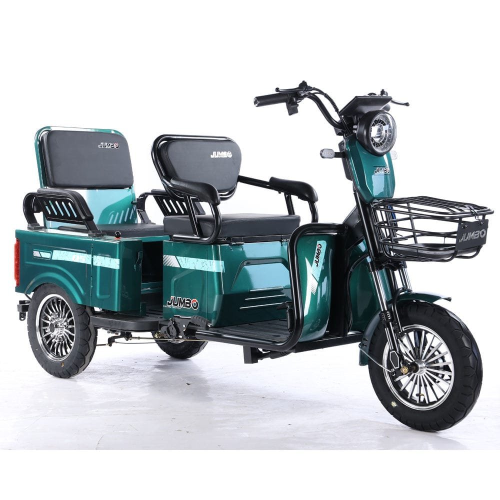 Electric Cargo Trike Canopy 1000W Motor Power 1000W Motor Power 400kg Payload Capacity Steel Material 60v Passenger Trike