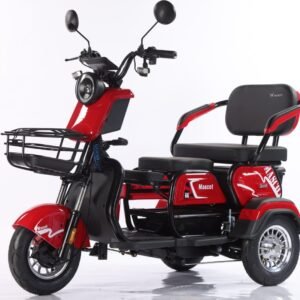 Electric Cargo Trike Canopy 1000W Motor Power 1000W Motor Power 400kg Payload Capacity Steel Material 60v Passenger Trike