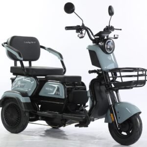 Electric Cargo Trike Canopy 1000W Motor Power 1000W Motor Power 400kg Payload Capacity Steel Material 60v Passenger Trike