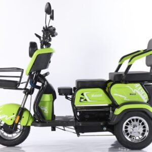 Electric Cargo Trike Canopy 1000W Motor Power 1000W Motor Power 400kg Payload Capacity Steel Material 60v Passenger Trike