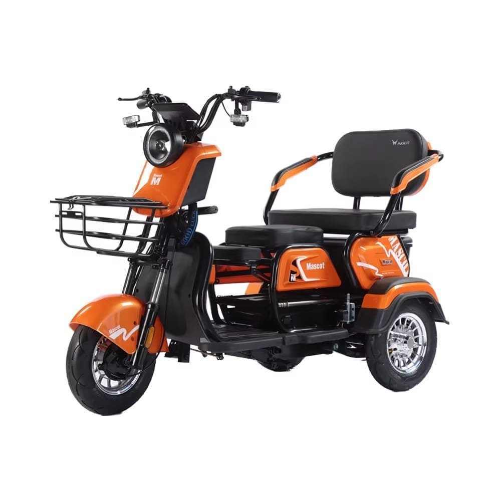 Electric Cargo Trike Canopy 1000W Motor Power 1000W Motor Power 400kg Payload Capacity Steel Material 60v Passenger Trike