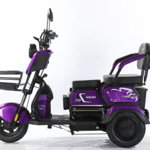 Electric Cargo Trike Canopy 1000W Motor Power 1000W Motor Power 400kg Payload Capacity Steel Material 60v Passenger Trike